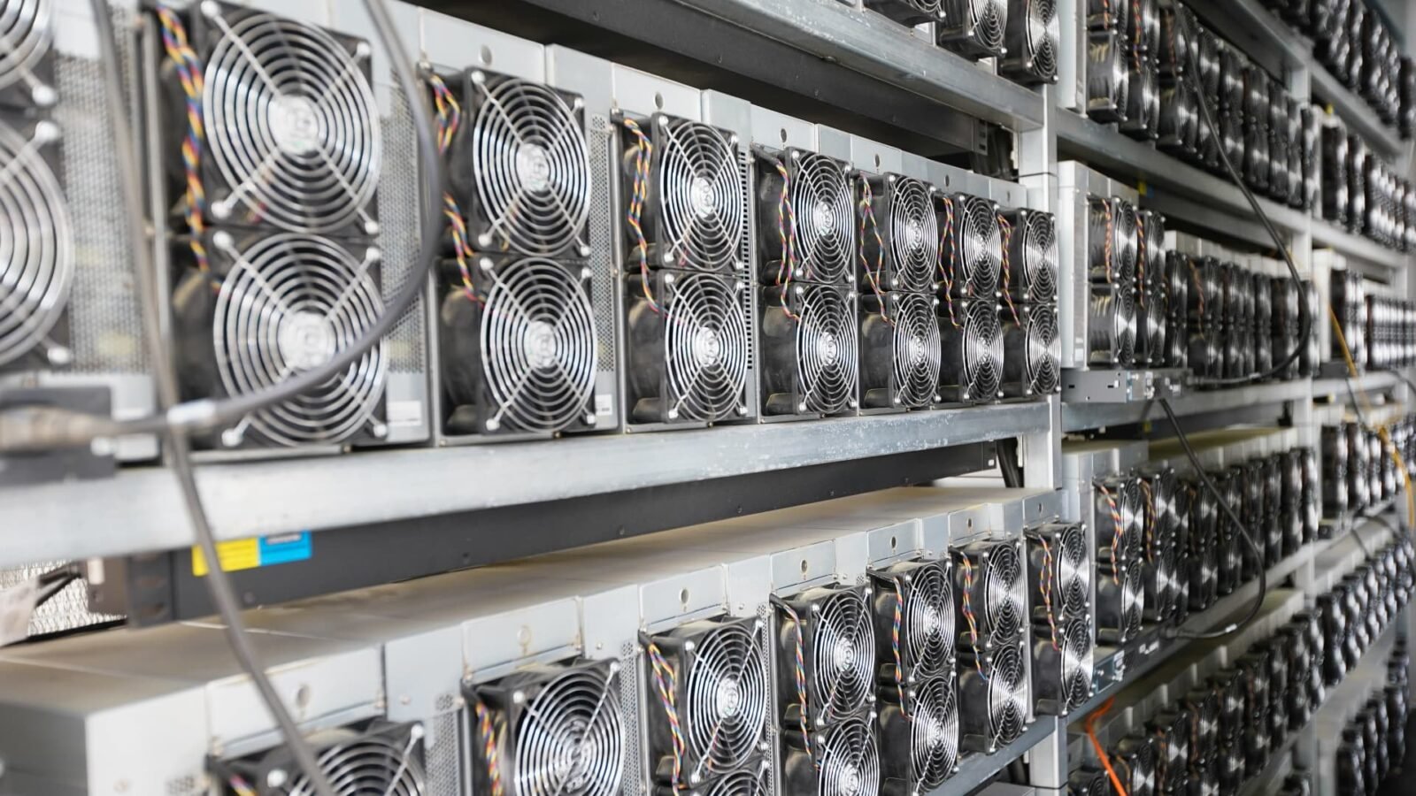 Crypto Stocks Surge as Capital Rotates Away From AI Infrastructure