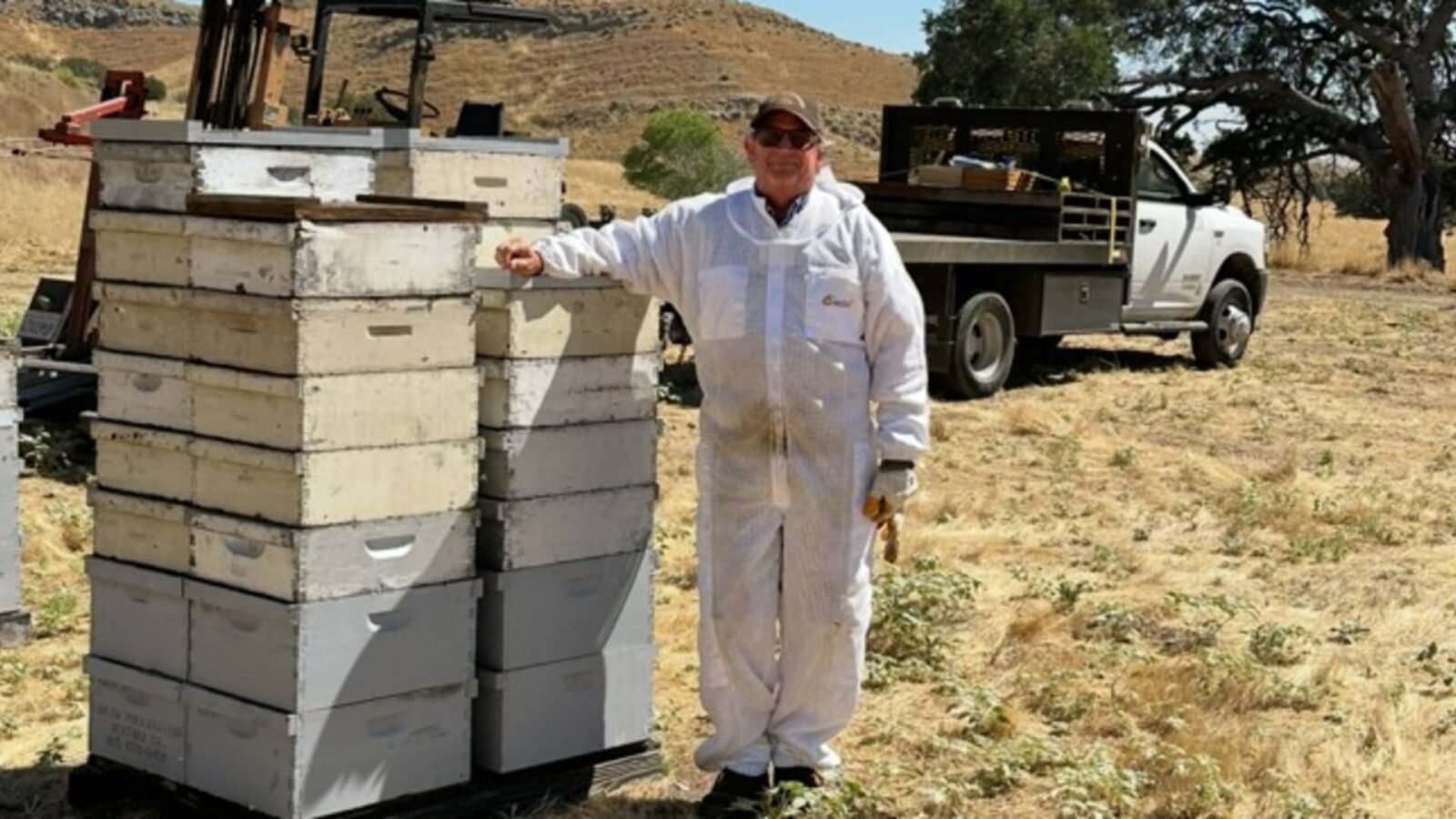 California Honey Farm Posts $1.8 Million in Revenue but Operates at a Loss Amid Industry Crisis