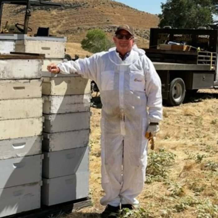 California Honey Farm Posts $1.8 Million in Revenue but Operates at a Loss Amid Industry Crisis