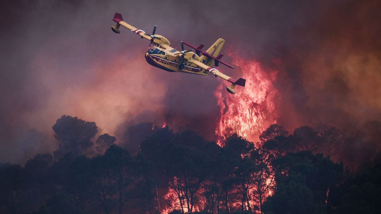 Massive Wildfire Generates Rare Fire Cloud Across France and Spain