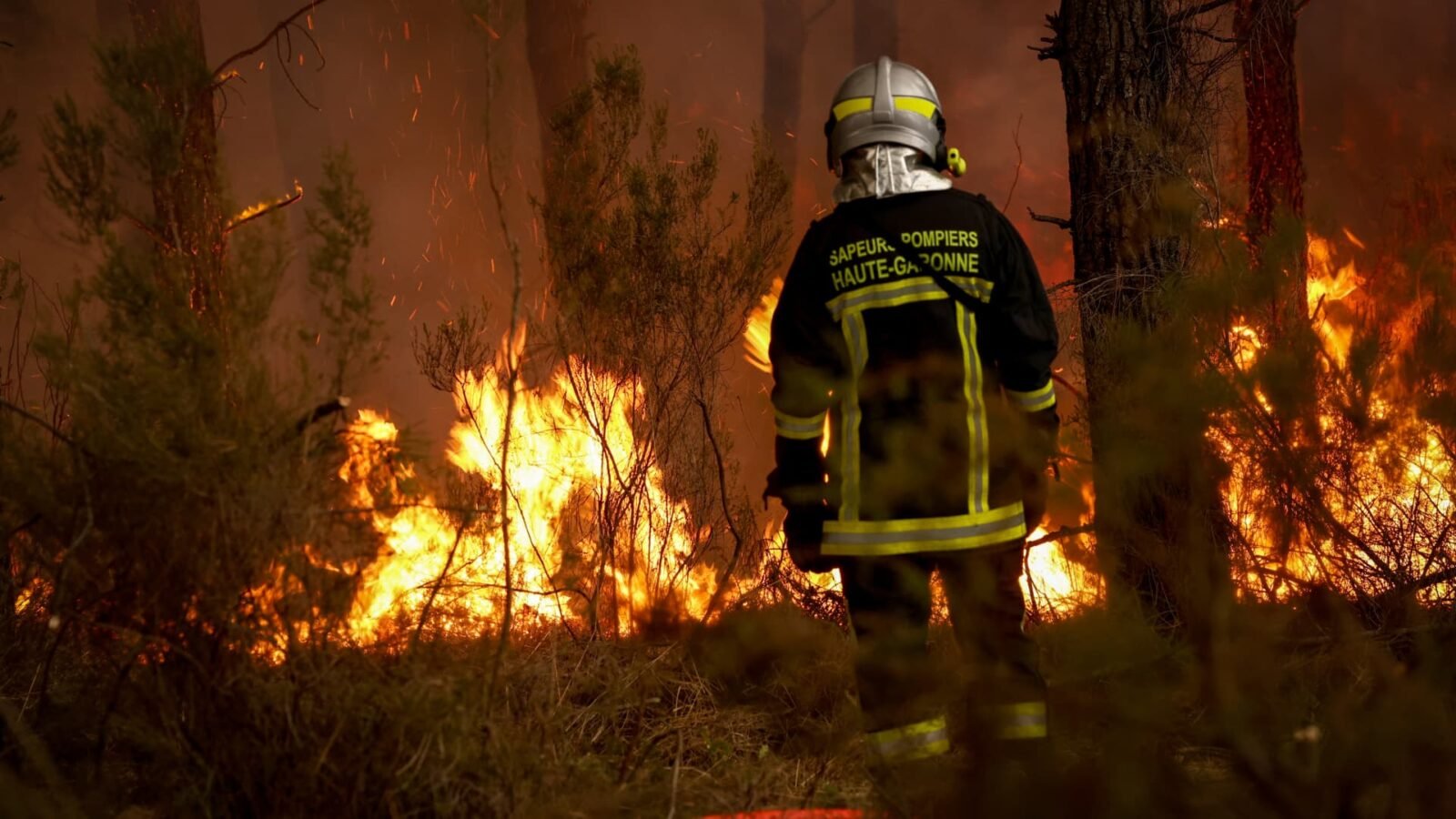 Wildfires in France and Spain Force Mass Evacuations Amid Heatwave Warnings