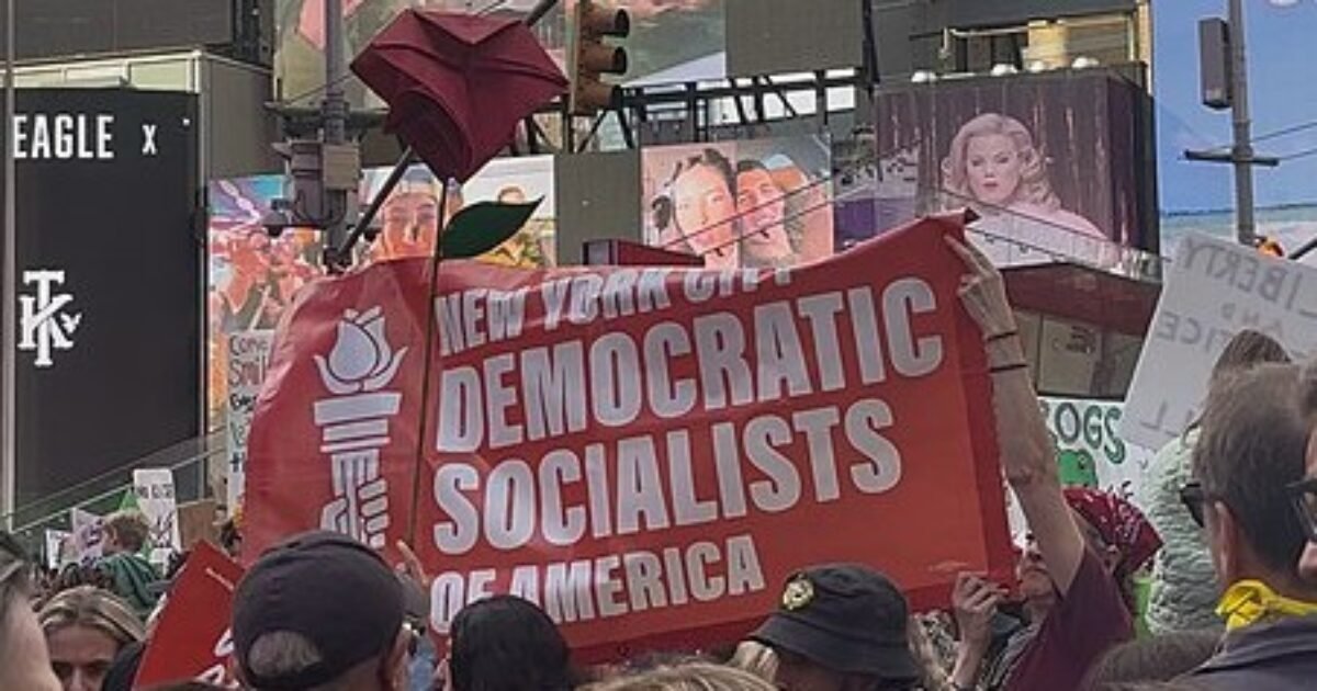 New Data Reveals Core Democratic Socialist Voter Base and Key Policy Driver